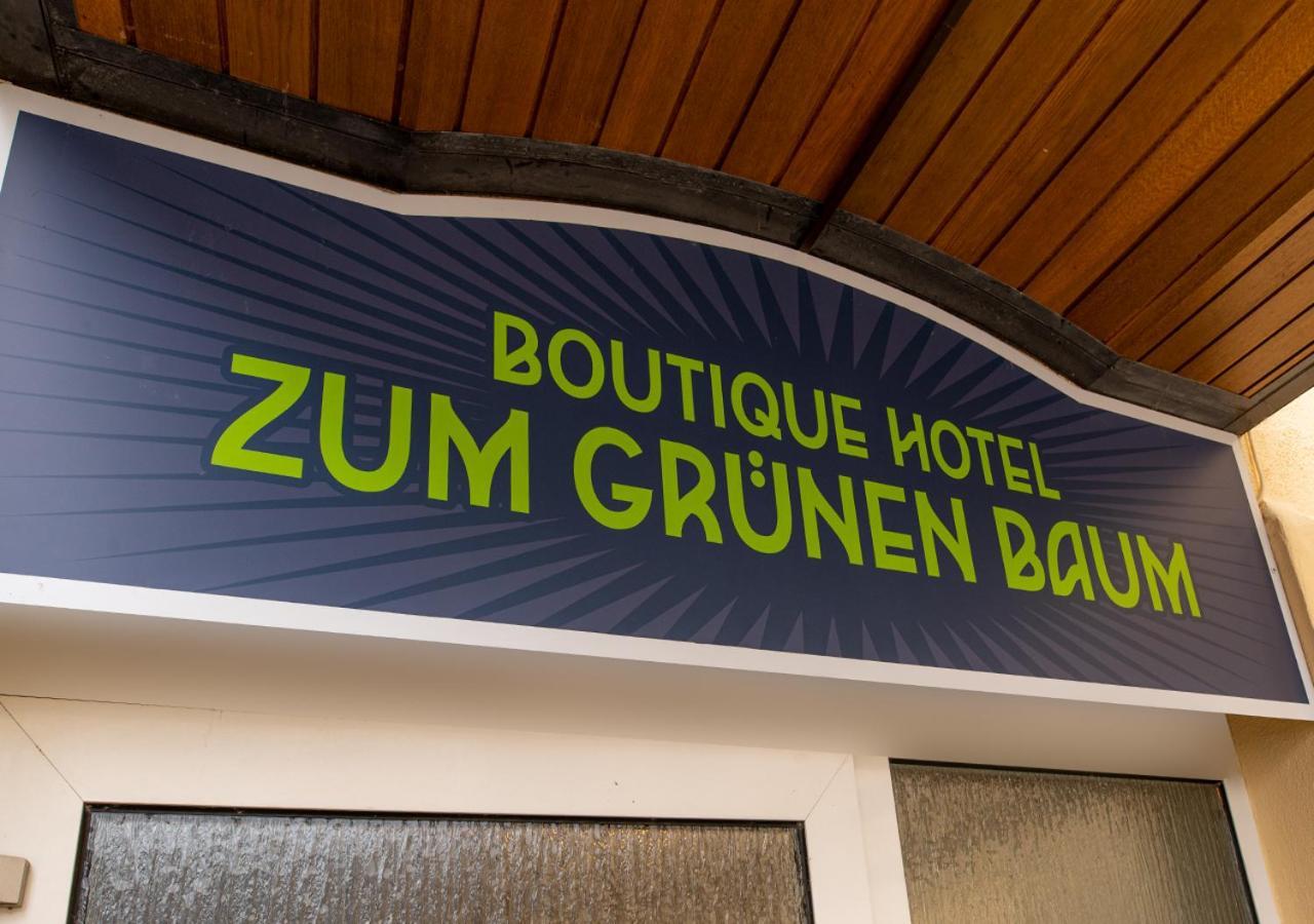 Boutique-Hotel Zum Gruenen Baum Алценау-ин-Унтерфранкен Екстериор снимка